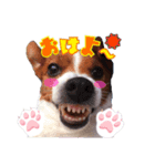 メイたん♡（個別スタンプ：1）