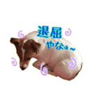 メイたん♡（個別スタンプ：2）