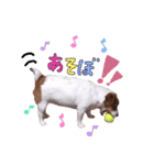 メイたん♡（個別スタンプ：6）