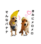 eito＆jack 2（個別スタンプ：6）