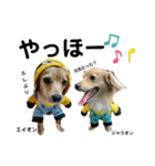 eito＆jack 2（個別スタンプ：8）