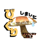 京都の夏のきのこシリーズ（個別スタンプ：4）