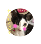 今日もみいこはげんきいっぱい（個別スタンプ：2）