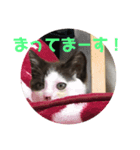 今日もみいこはげんきいっぱい（個別スタンプ：3）