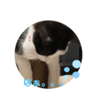 今日もみいこはげんきいっぱい（個別スタンプ：4）