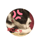 今日もみいこはげんきいっぱい（個別スタンプ：6）