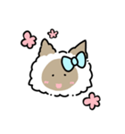 ラグドールのぽん＆あん（個別スタンプ：1）