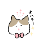 ラグドールのぽん＆あん（個別スタンプ：6）
