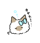 ラグドールのぽん＆あん（個別スタンプ：7）