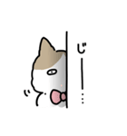 ラグドールのぽん＆あん（個別スタンプ：9）