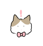 ラグドールのぽん＆あん（個別スタンプ：10）