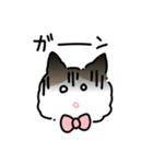 ラグドールのぽん＆あん（個別スタンプ：11）