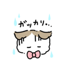 ラグドールのぽん＆あん（個別スタンプ：12）