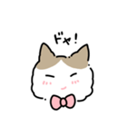 ラグドールのぽん＆あん（個別スタンプ：13）