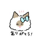 ラグドールのぽん＆あん（個別スタンプ：18）