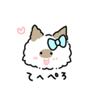 ラグドールのぽん＆あん（個別スタンプ：25）