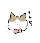 ラグドールのぽん＆あん（個別スタンプ：30）