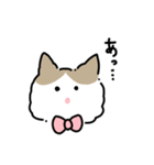 ラグドールのぽん＆あん（個別スタンプ：33）