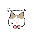 ラグドールのぽん＆あん（個別スタンプ：37）