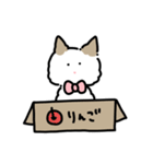 ラグドールのぽん＆あん（個別スタンプ：39）