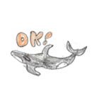 Jason_create（個別スタンプ：1）