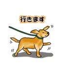 動物からのメッセージ (Part1)（個別スタンプ：8）