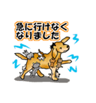 動物からのメッセージ (Part1)（個別スタンプ：16）
