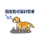 動物からのメッセージ (Part1)（個別スタンプ：23）