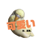 うちのスズ飼いませんか？（個別スタンプ：6）
