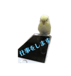 うちのスズ飼いませんか？（個別スタンプ：7）