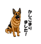 ジャーマンシェパード警察犬 第5弾（個別スタンプ：4）