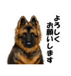 ジャーマンシェパード警察犬 第5弾（個別スタンプ：5）