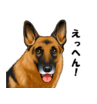 ジャーマンシェパード警察犬 第5弾（個別スタンプ：8）