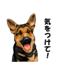 ジャーマンシェパード警察犬 第5弾（個別スタンプ：16）