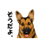 ジャーマンシェパード警察犬 第5弾（個別スタンプ：24）