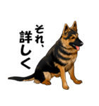 ジャーマンシェパード警察犬 第5弾（個別スタンプ：26）