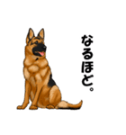 ジャーマンシェパード警察犬 第5弾（個別スタンプ：27）