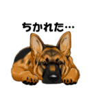 ジャーマンシェパード警察犬 第5弾（個別スタンプ：39）