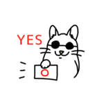 わくわくねこちゃんず（個別スタンプ：5）