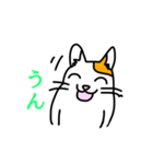 わくわくねこちゃんず（個別スタンプ：8）