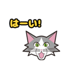 mof.mofニャンズ第一弾（個別スタンプ：1）