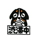 バニバニスタンプ【おでかけ用】（個別スタンプ：4）
