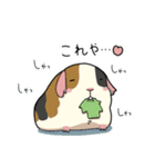 「おこげ」と「ういろう」（個別スタンプ：20）