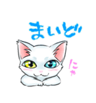 慶n.のオッドアイ白猫(関西弁バージョン)（個別スタンプ：1）