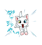 慶n.のオッドアイ白猫(関西弁バージョン)（個別スタンプ：13）