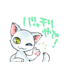 慶n.のオッドアイ白猫(関西弁バージョン)（個別スタンプ：14）