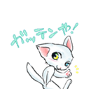 慶n.のオッドアイ白猫(関西弁バージョン)（個別スタンプ：16）