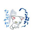 慶n.のオッドアイ白猫(関西弁バージョン)（個別スタンプ：25）
