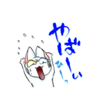 慶n.のオッドアイ白猫(関西弁バージョン)（個別スタンプ：29）