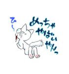 慶n.のオッドアイ白猫(関西弁バージョン)（個別スタンプ：30）